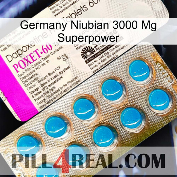 Germany Niubian 3000 Mg Superpower new07.jpg